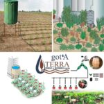ombeo y Riego Agua Lluvia 8