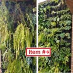 Riego Muro Verde 6